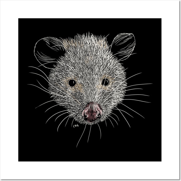 Opossum Wall Art by Walking in Nature